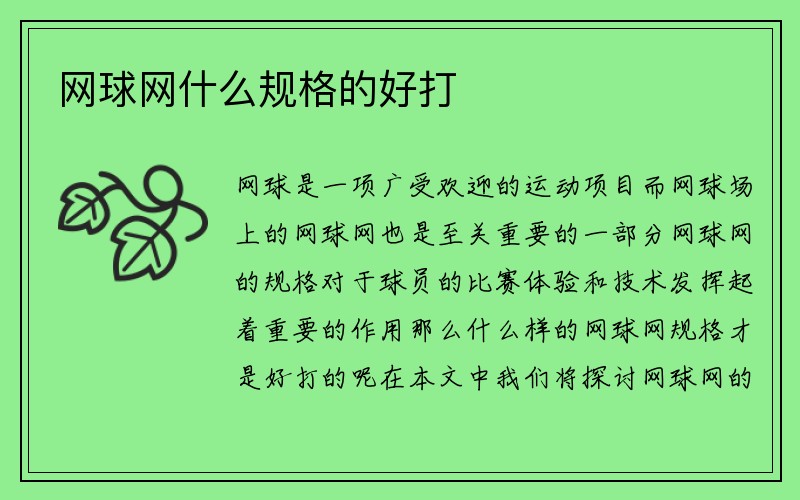 网球网什么规格的好打